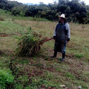 Meet your Posher, Ramos